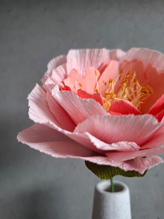 Peony
