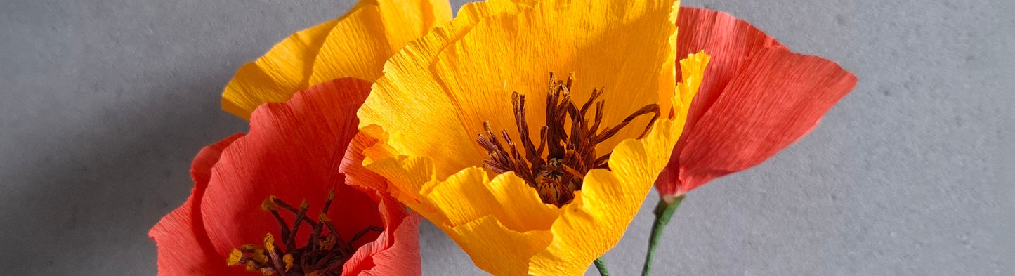 Poppy